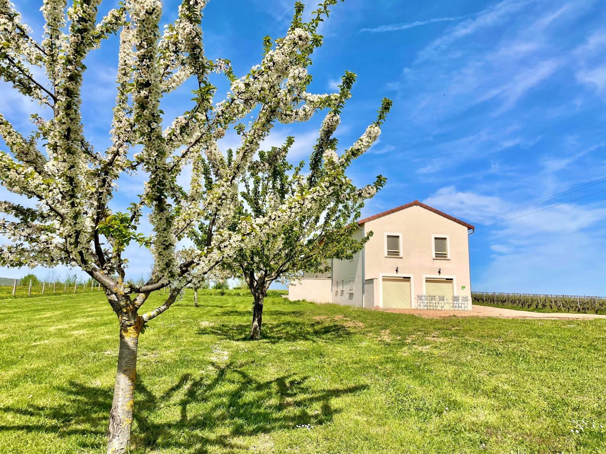 Domaine Joseph Lafarge Wine Resort Winemaker House La Maison Du Negociant Lugny Eksteriør billede